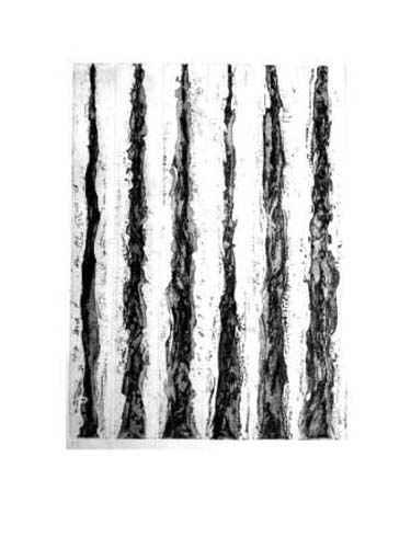 Verticalité Horizontale II   65x50cm