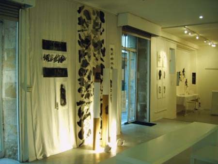 Installation DesApparences mars 2007 espace beaujeu Castres